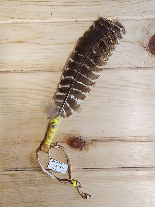 Wild Turkey Feather