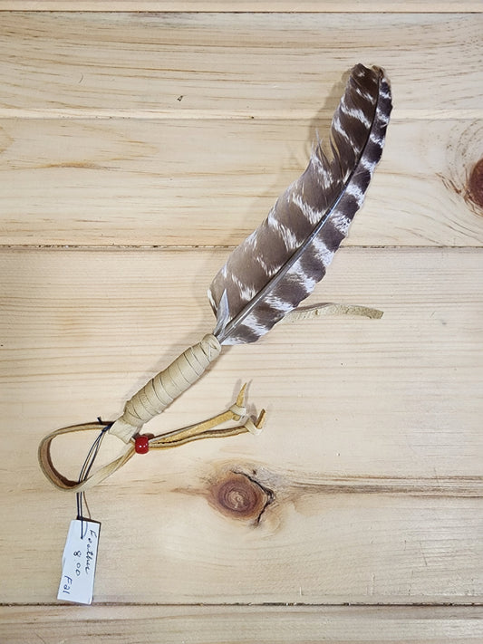 Wild Turkey Feather